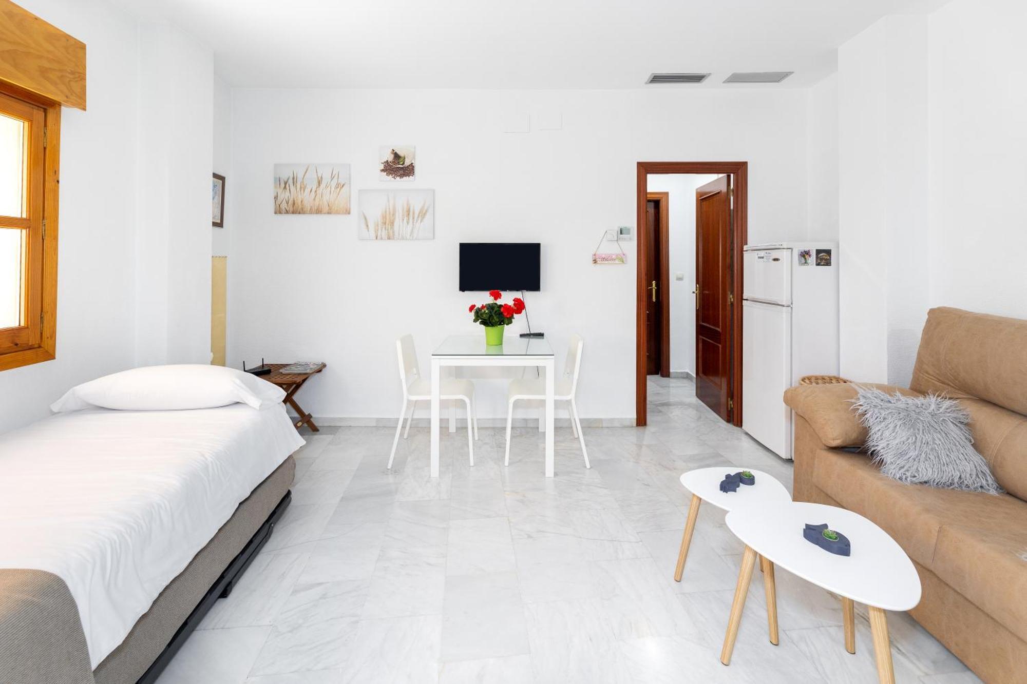 Apartamento Adultos Centro Nueva De La Virgen 2 Free Parking 格拉纳达 外观 照片